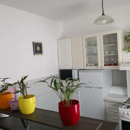Apartment Miro *